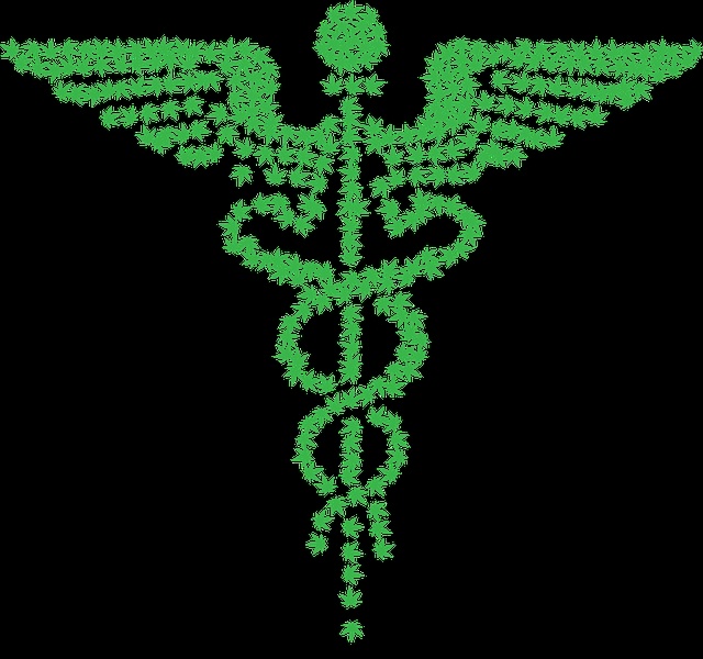 medical iconography made up of weed leaves